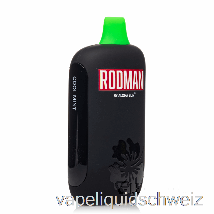 Rodman 9100 Einweg-Cold-Mint-Vape Ohne Nikotin
